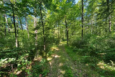 W10465 Leskovec Lane, Crivitz, WI 54114 - Photo 76