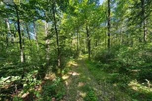 W10465 Leskovec Ln, Crivitz, WI 54114 - Photo 76