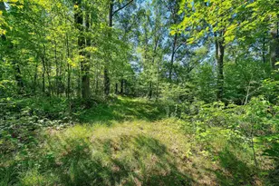 W10463 Leskovec Ln, Crivitz, WI 54114 - Photo 44