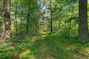W10463 Leskovec Ln, Crivitz, WI 54114 - Photo 48