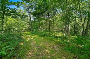 W10463 Leskovec Ln, Crivitz, WI 54114 - Photo 54
