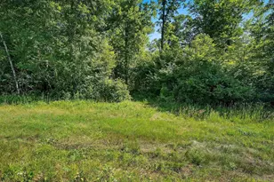 W10463 Leskovec Ln, Crivitz, WI 54114 - Photo 48
