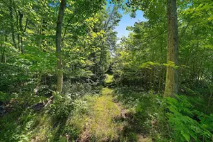 W10463 Leskovec Ln, Crivitz, WI 54114 - Photo 52
