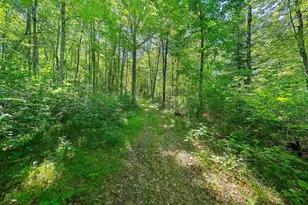 W10463 Leskovec Ln, Crivitz, WI 54114 - Photo 40