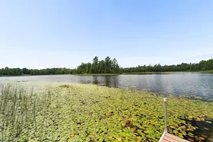 15662 Bademer Ln, Doty, WI 54149 - Photo 42