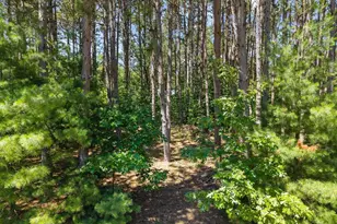 E2614 Marion Ln, Waupaca, WI 54981 - Photo 32