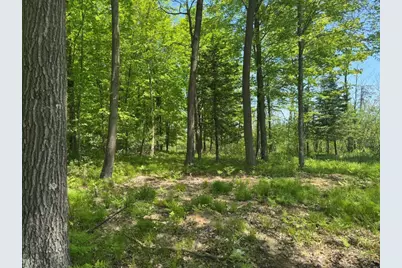 W17810 Eland Road, Wittenberg, WI 54499 - Photo 82