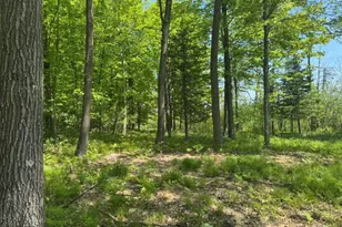 W17810 Eland Rd, Wittenberg, WI 54499 - Photo 82