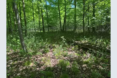 W17810 Eland Road, Wittenberg, WI 54499 - Photo 70