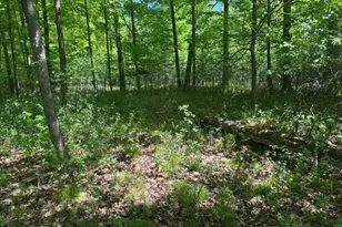 W17810 Eland Rd, Wittenberg, WI 54499 - Photo 70