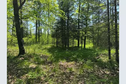 W17810 Eland Road, Wittenberg, WI 54499 - Photo 66