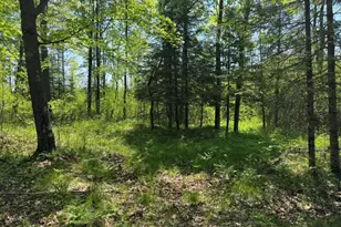 W17810 Eland Rd, Wittenberg, WI 54499 - Photo 66