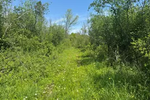 W17810 Eland Rd, Wittenberg, WI 54499 - Photo 60