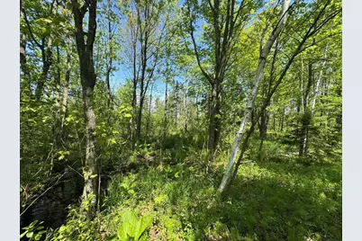 W17810 Eland Road, Wittenberg, WI 54499 - Photo 48