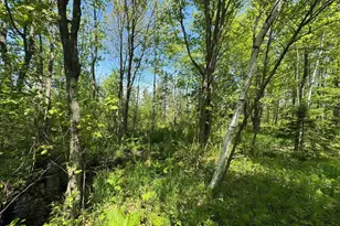 W17810 Eland Rd, Wittenberg, WI 54499 - Photo 48