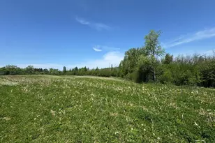 W17810 Eland Rd, Wittenberg, WI 54499 - Photo 54