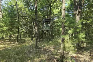N4015 County Rd EE, Redgranite, WI 54970 - Photo 30