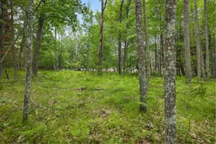 W8108 Kafka Rd, Wausaukee, WI 54177 - Photo 42
