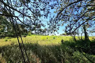 W4207 Co Rd T, Princeton, WI 54968 - Photo 6