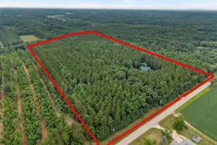 W6813 Cypress Rd, Neshkoro, WI 54960 - Photo 90