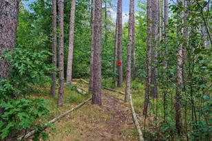 W12456 Hazel Ln, Silver Cliff, WI 54104 - Photo 60