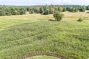 N3212 Bean City Rd, New London, WI 54961 - Photo 70