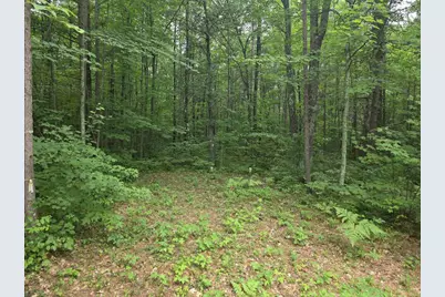 1243 W Haskell Lake Lane, Lac Du Flambeau, WI 54538 - Photo 20