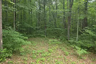 1243 W Haskell Lake Ln, Lac Du Flambeau, WI 54538 - Photo 20
