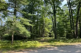 Steffen Ln, Pembine, WI 54156 - Photo 1