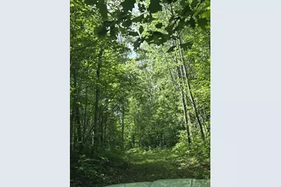 Right Of Way Road, Pembine, WI 54156 - Photo 1