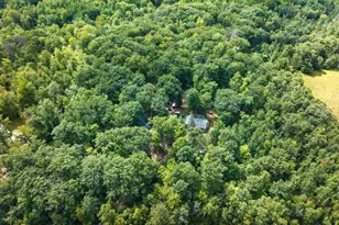 W6849 Windfall Rd, Wausaukee, WI 54177 - Photo 8
