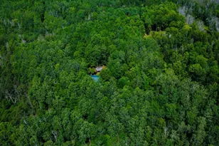 W15312 Old J Rd, Athelstane, WI 54104 - Photo 44