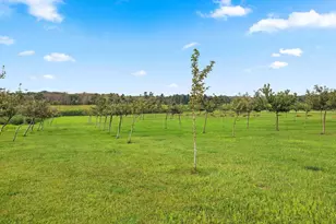 N5951 Division Rd, Cecil, WI 54111 - Photo 64