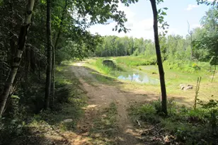 W8598 Beecher Lake Rd, Pembine, WI 54156 - Photo 52