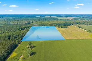 N2830 County K Rd, Shawano, WI 54166 - Photo 4