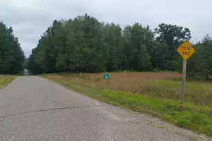 N11649 Kosir Ln, Athelstane, WI 54104 - Photo 16