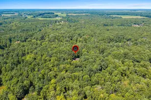 W6867 Curt Black Rd, Shawano, WI 54166 - Photo 72