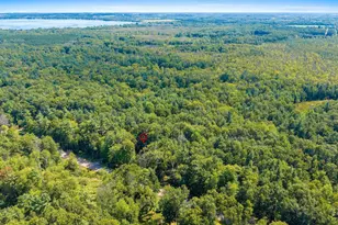 W6867 Curt Black Rd, Shawano, WI 54166 - Photo 76