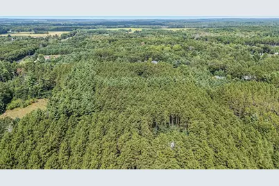 N5255 22nd Road, Wild Rose, WI 54984 - Photo 44