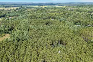 N5255 22nd Rd, Wild Rose, WI 54984 - Photo 44
