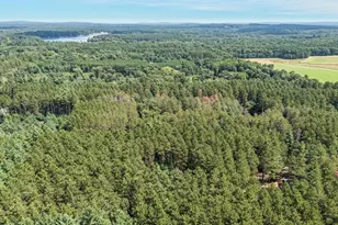 N5255 22nd Rd, Wild Rose, WI 54984 - Photo 32
