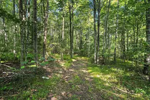 W10614 Benson Lake Rd, Amberg, WI 54102 - Photo 58