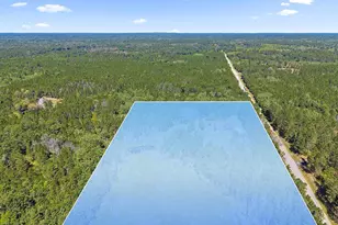 N10691 Deer Lake Rd, Athelstane, WI 54104 - Photo 36