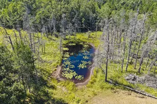N10691 Deer Lake Rd, Athelstane, WI 54104 - Photo 42