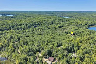 14561 Irish Lake Ln, Lakewood, WI 54138 - Photo 44