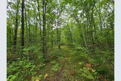 5 Acres Roush Road, Wausaukee, WI 54177 - Photo 4