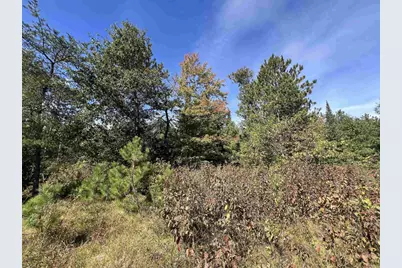Gehling Road, Dunbar, WI 54119 - Photo 6