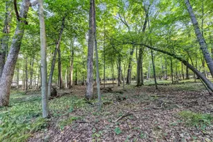 N2450 E Pine Cir, Redgranite, WI 54970 - Photo 26