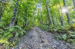 E559 Indian Valley Rd, Waupaca, WI 54981 - Photo 28