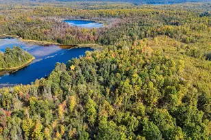 15618 Upper Island Lake Ln, Doty, WI 54149 - Photo 78